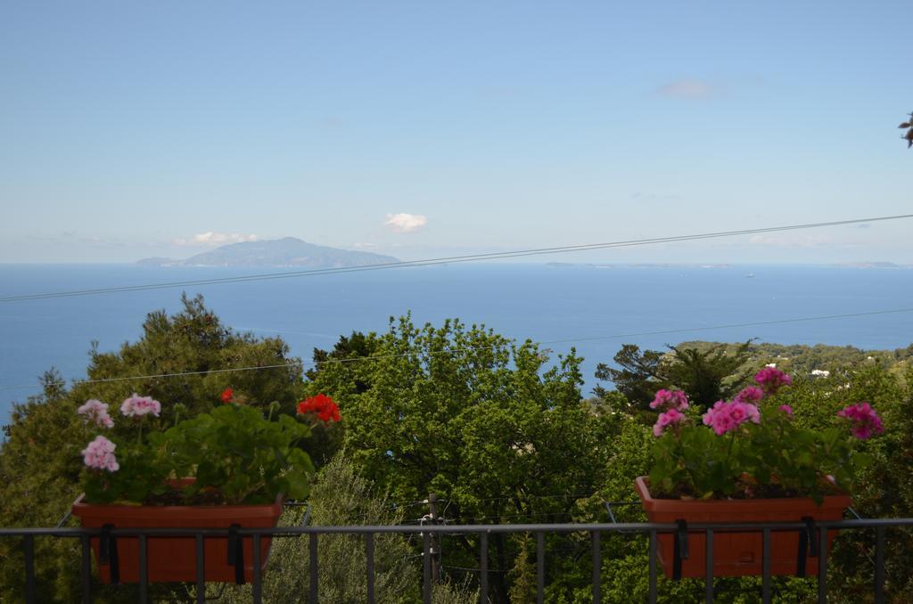 Le Ginestre di Capri BB&Holiday House Bed and Breakfast Anacapri  Esterno foto