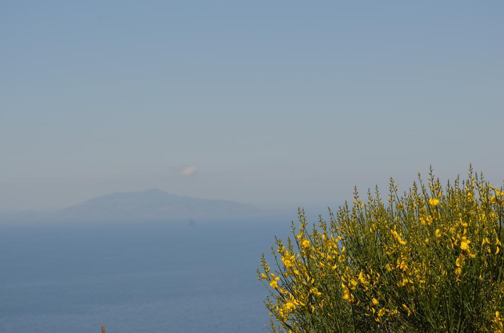 Le Ginestre di Capri BB&Holiday House Bed and Breakfast Anacapri  Esterno foto