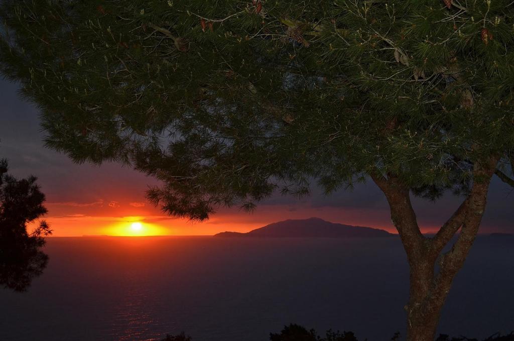 Le Ginestre di Capri BB&Holiday House Bed and Breakfast Anacapri  Camera foto