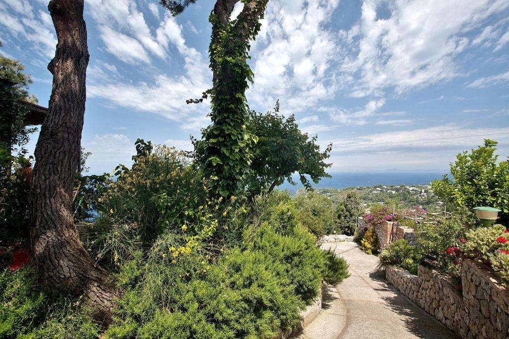 Le Ginestre di Capri BB&Holiday House Bed and Breakfast Anacapri  Esterno foto